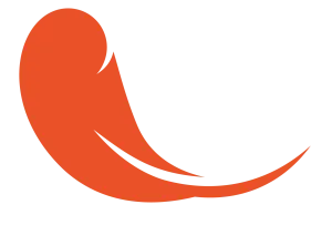 feather in orange