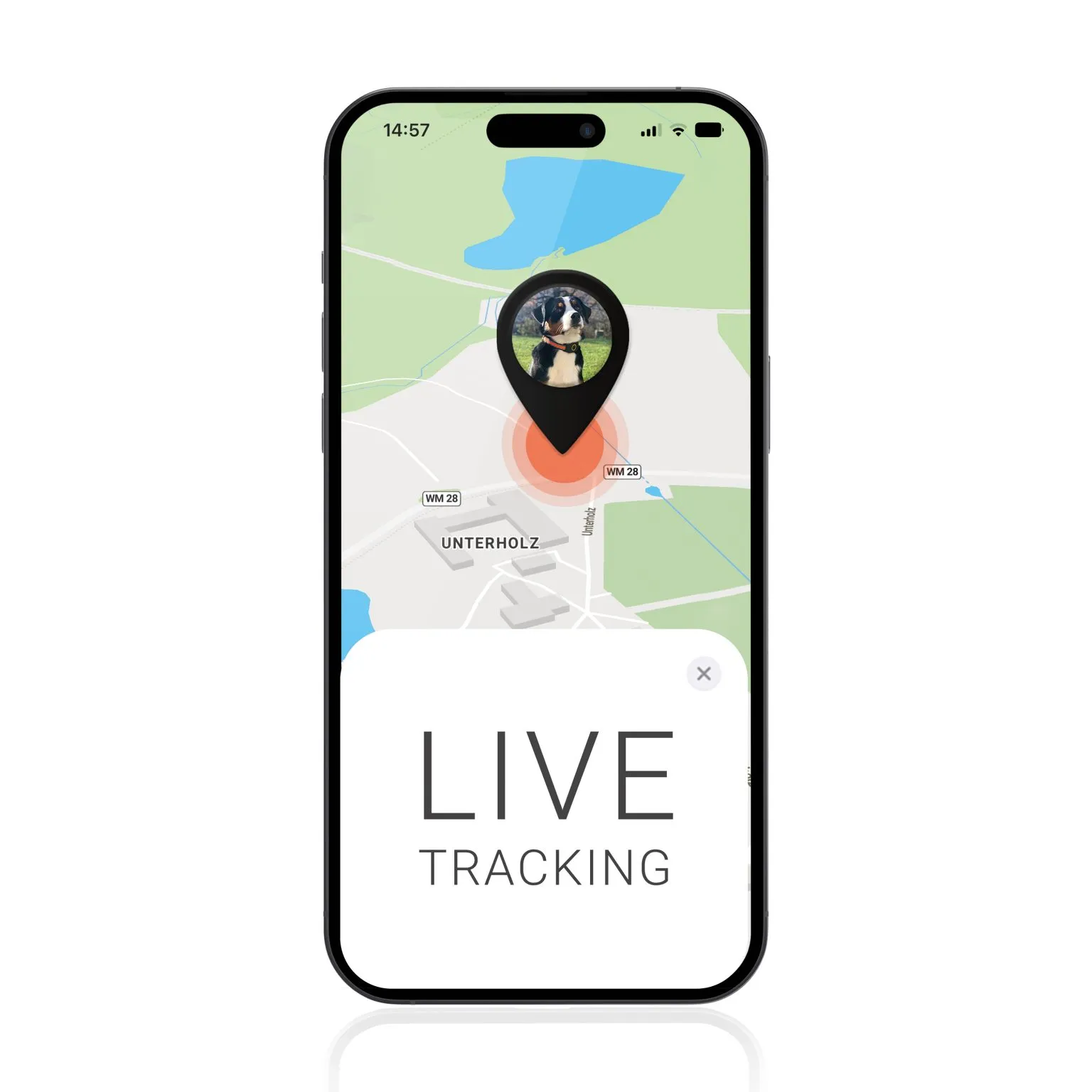 Mockup LIVE Tracking Pets FINDER Portal from PAJ GPS Tracker