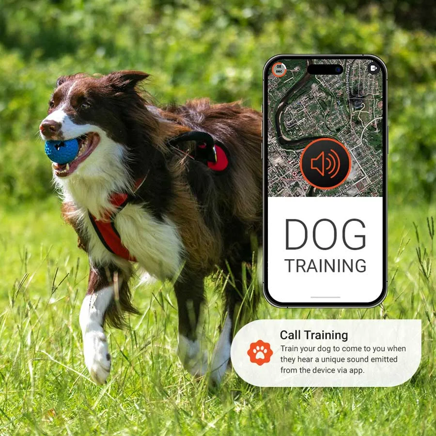 PAJ PET Finder 4G GPS tracker for dogs PAJ GPS