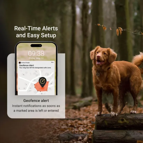 PET Finder 4G_ Geofence Alert