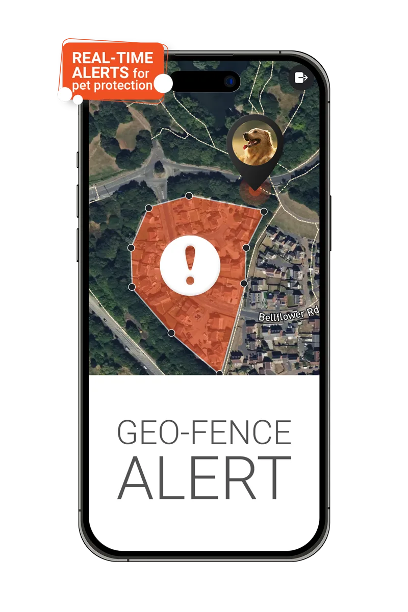 Mockup- Geofence alert