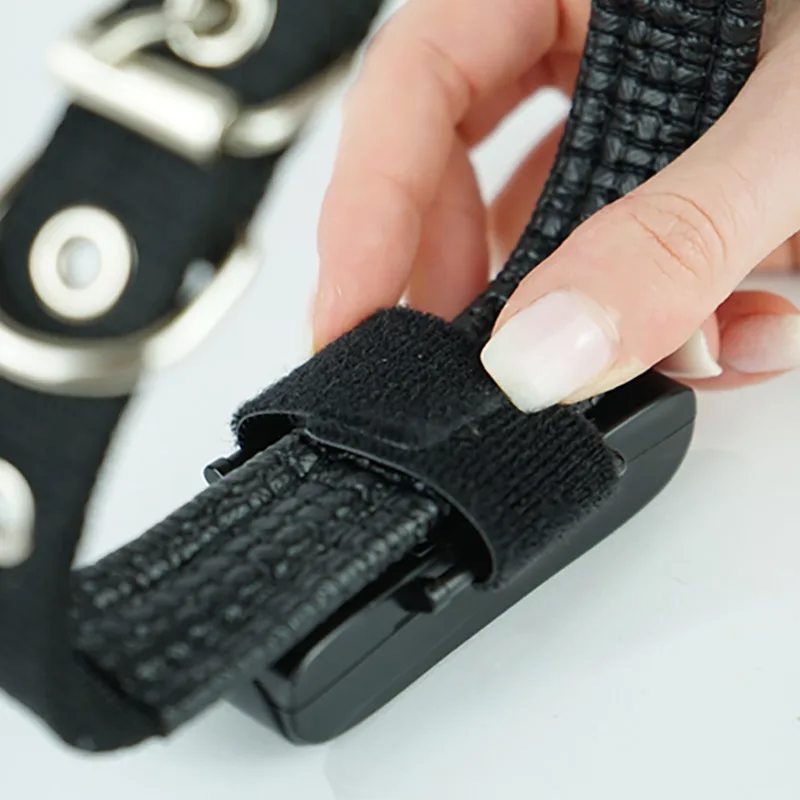 PET Finder 4G attached to dog's collar