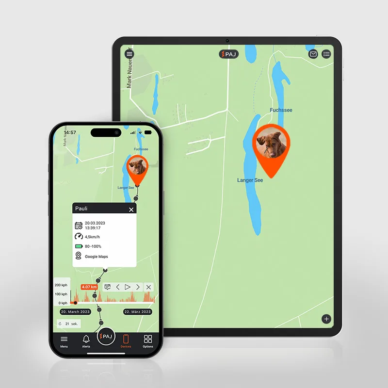 Finder Portal application opened in mobile and tablet devices.