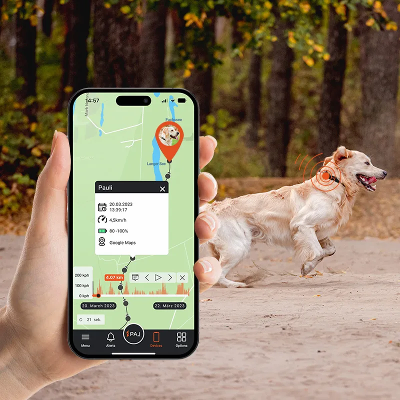 Finder portal opened in a phone