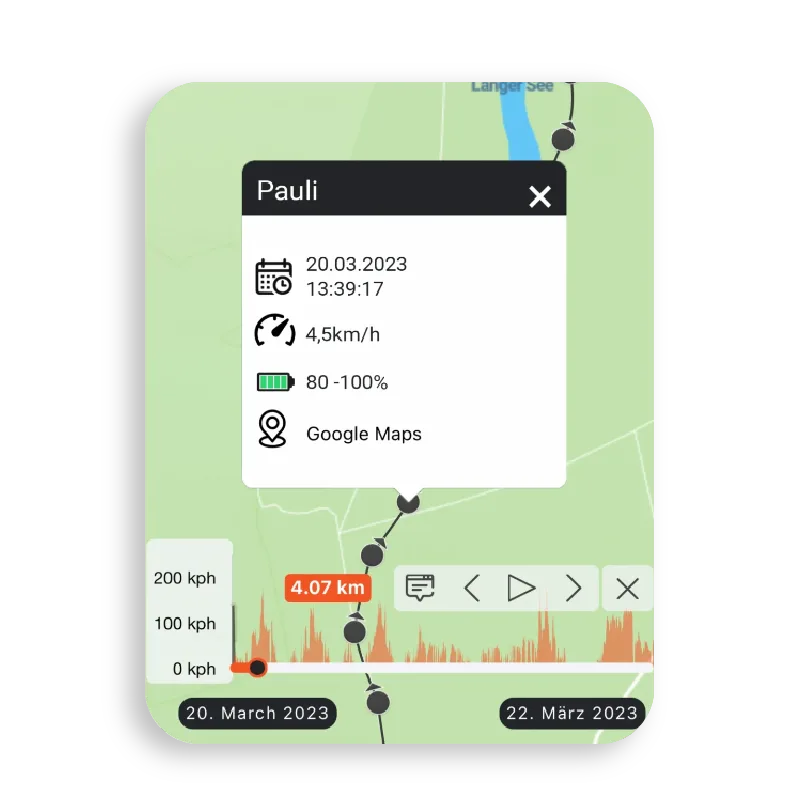 Finder portal screen showing the activity of a dog named Pauli