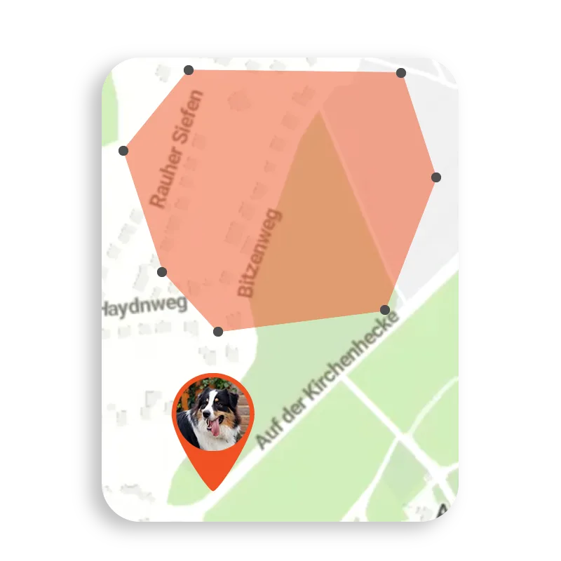 A screenshot of the Finder Portal application showing the safe area marked for PET