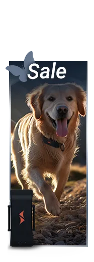 sale on GPS trackers for dogs at PAJ GPS Trackers