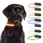 PAJ LIGHT in black: LED collar for dogs PAJ GPS