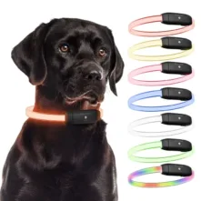 PAJ LIGHT in black: LED collar for dogs PAJ GPS