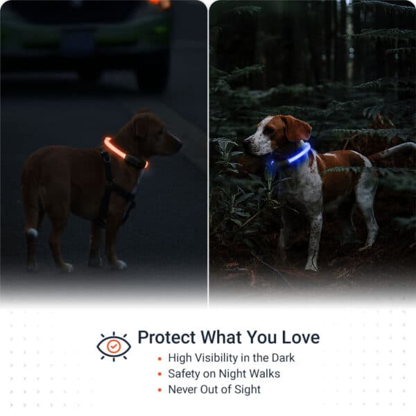 Features PAJ LIGHT in black: LED collar for dogs PAJ GPS