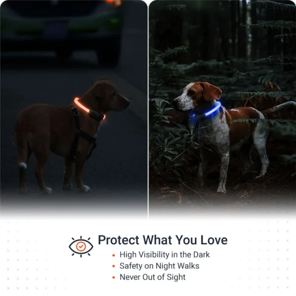 Features PAJ LIGHT in black: LED collar for dogs PAJ GPS