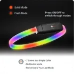 Features PAJ LIGHT in black: LED collar for dogs PAJ GPS