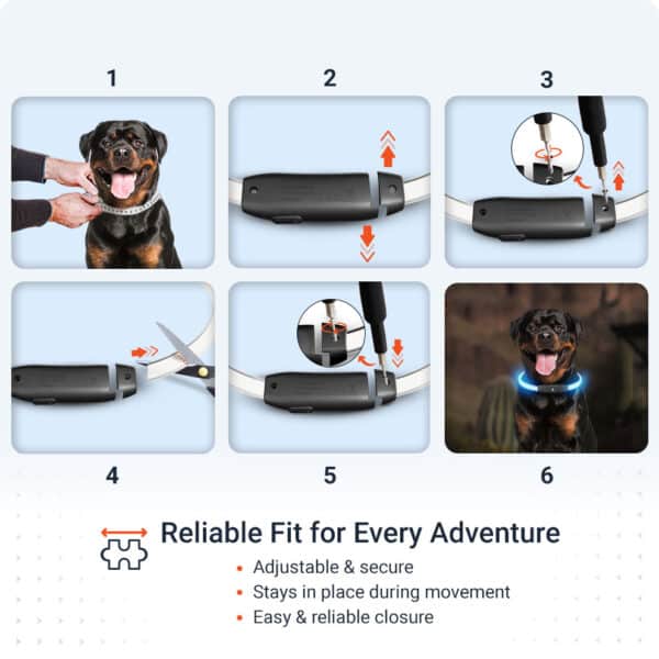 Features PAJ LIGHT in black: LED collar for dogs PAJ GPS