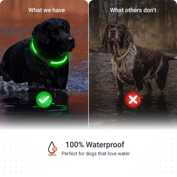 Features PAJ LIGHT in black: LED collar for dogs PAJ GPS