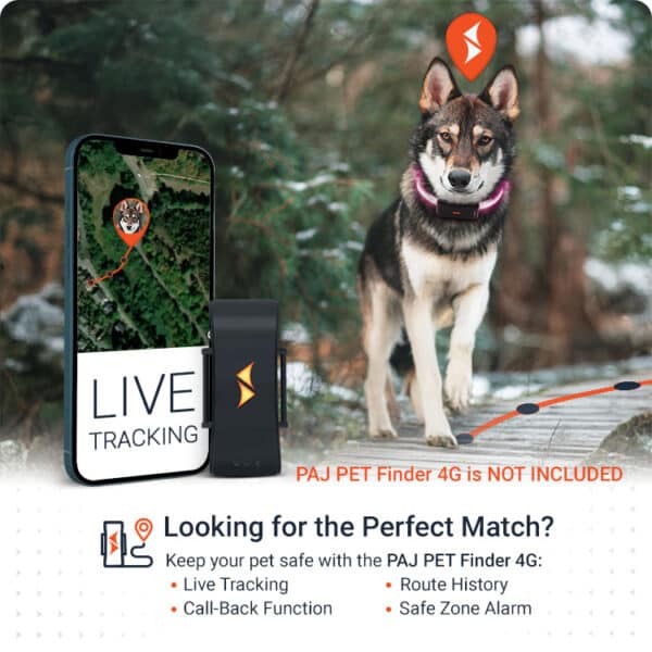 Combination PET Finder PAJ LIGHT in black: LED collar for dogs PAJ GPS