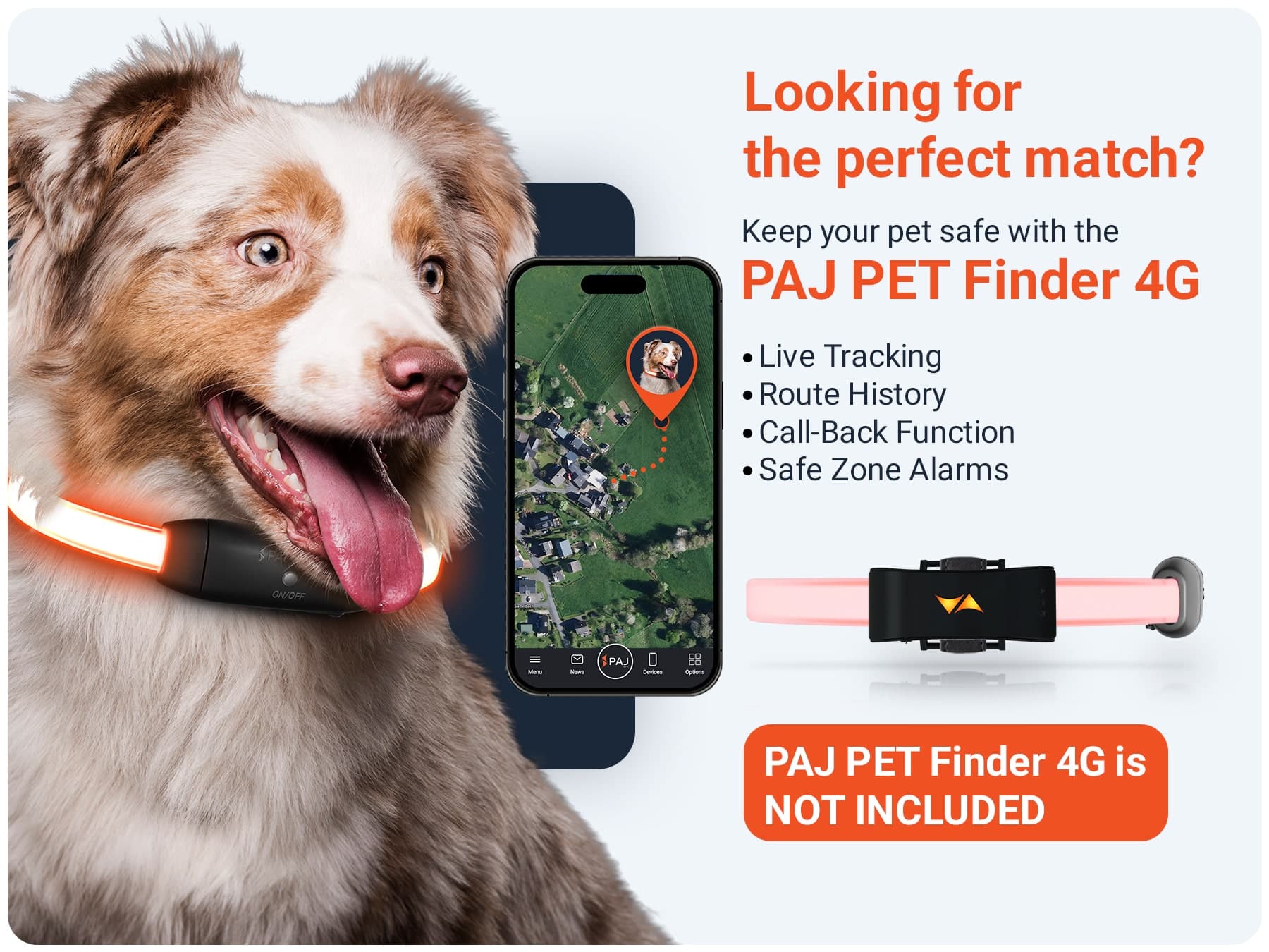 Combination PET Finder PAJ LIGHT in black: LED collar for dogs PAJ GPS