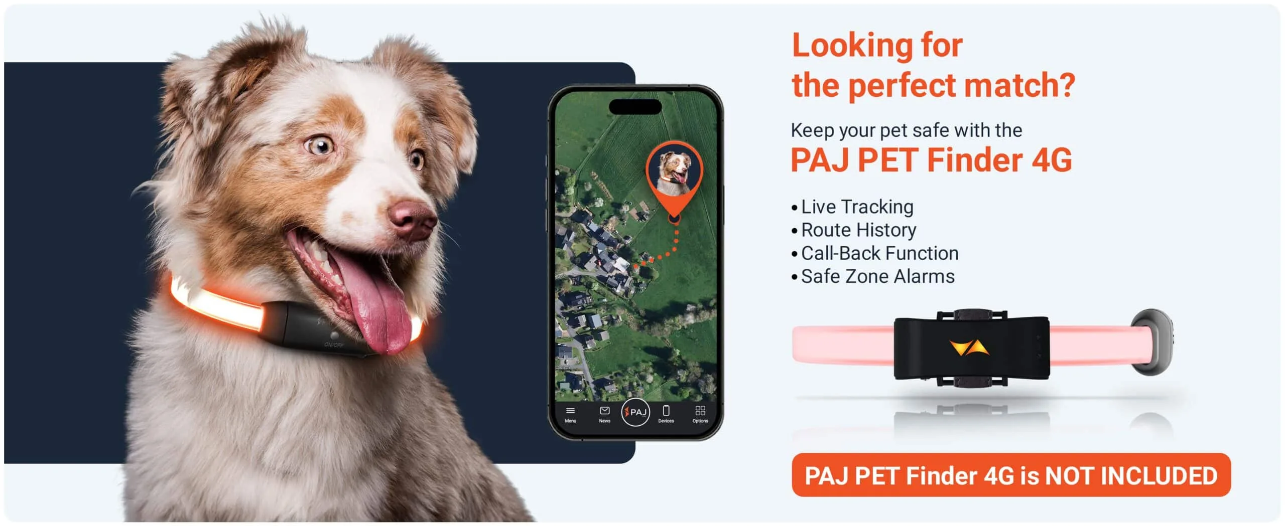 Combination PET Finder PAJ LIGHT in black: LED collar for dogs PAJ GPS