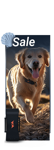 sale on PAJ GPS trackers for dogs
