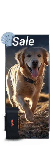sale on PAJ GPS trackers for dogs