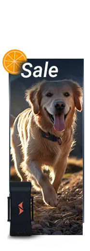 Sale on PAJ GPS trackers for dogs