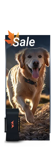 Sale on PAJ GPS trackers for dogs