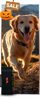 Sale on PAJ GPS trackers for dogs