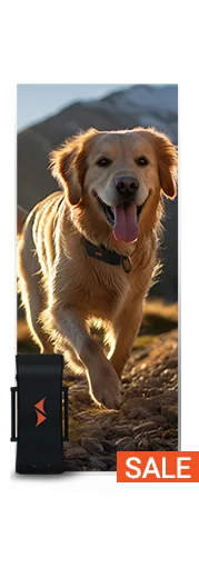 Sale on gps trackers for dogs at PAJ GPS