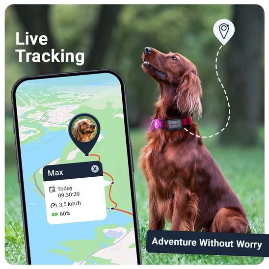 PAJ PET Finder 4G Mini