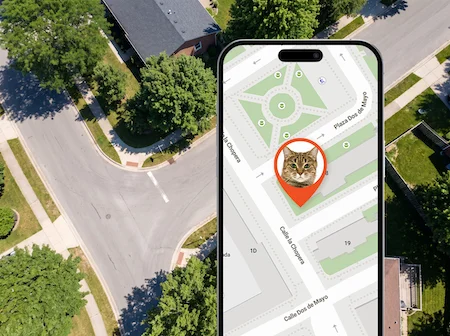 Smartphone showing a cat's live GPS location on a neighbourhood map using the PET Finder 4G Mini tracker
